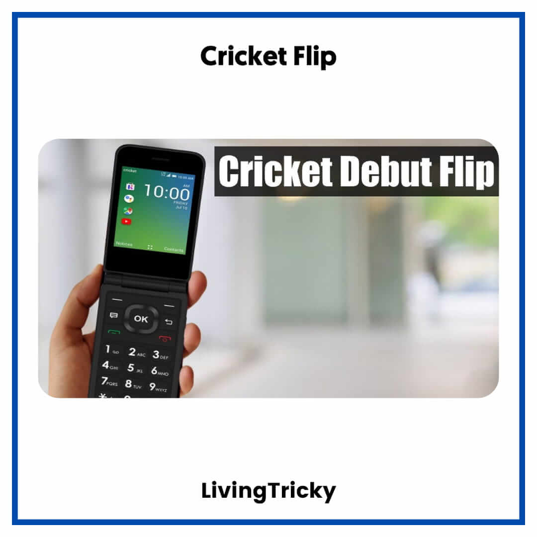 Cricket Flip