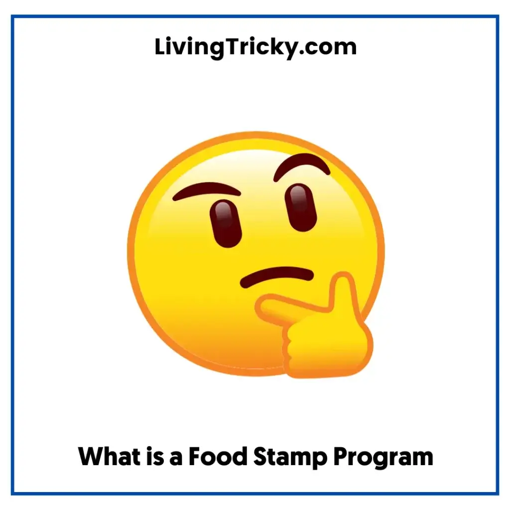 What Is A Food Stamp Program