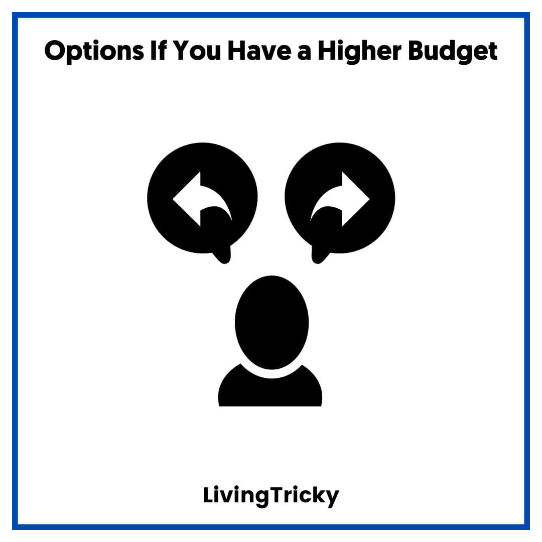 Options If You Have a Higher Budget