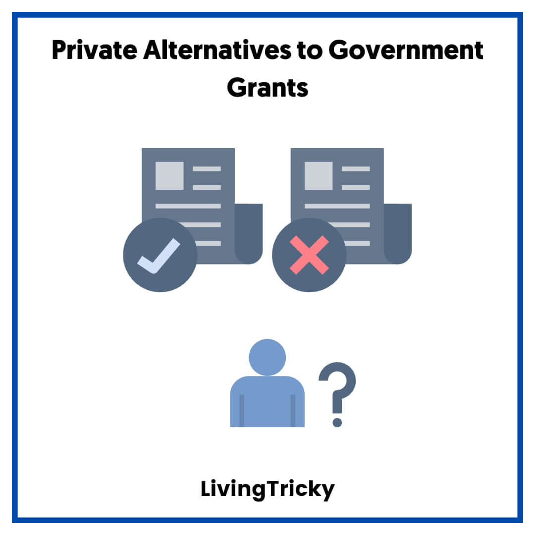 Private Alternatives to Government Grants
