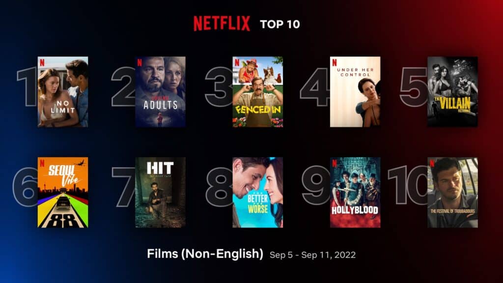 Non English Netflix Hits
