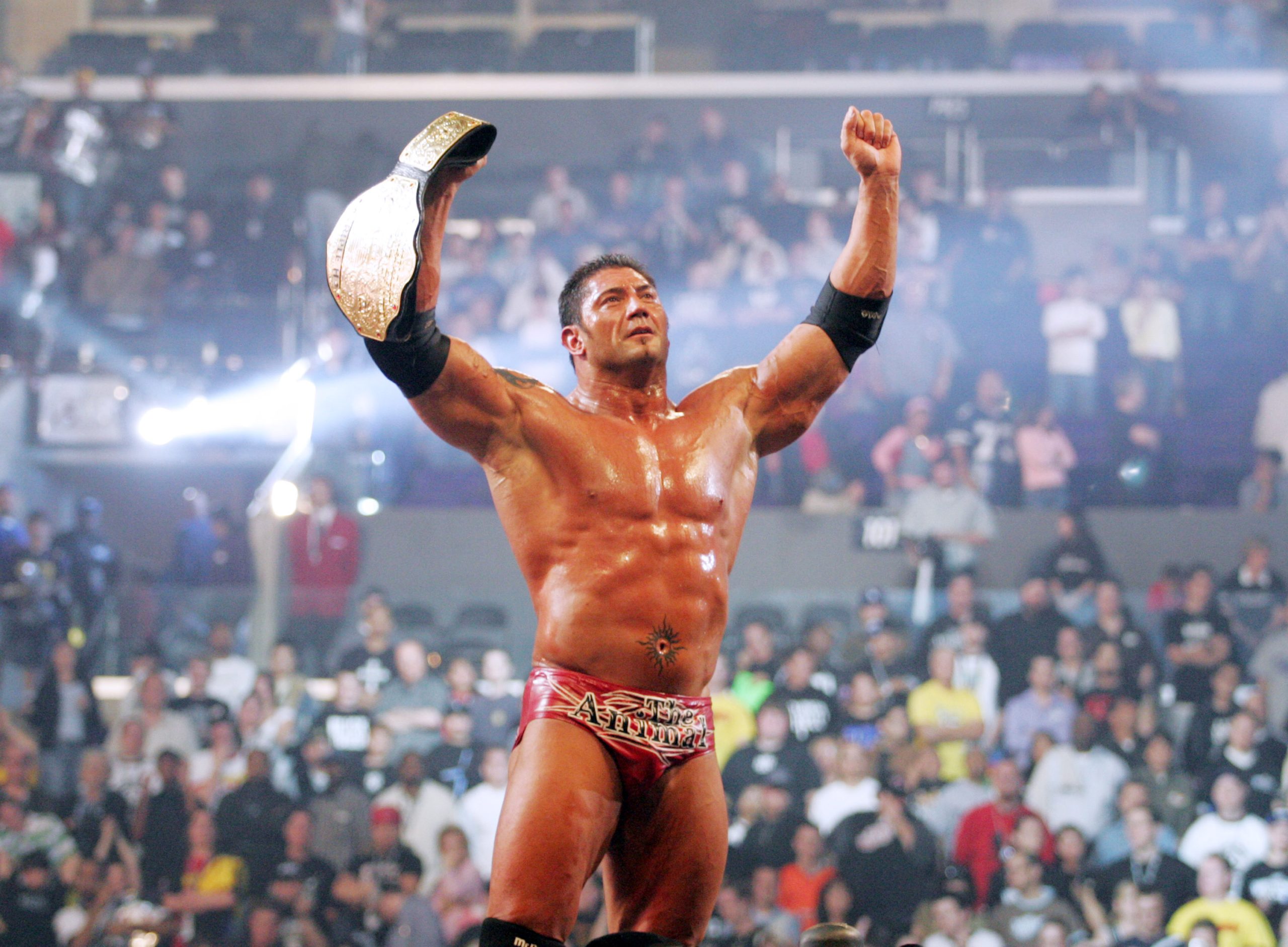 Dave Batista: The Animal's Journey in the Wrestling World