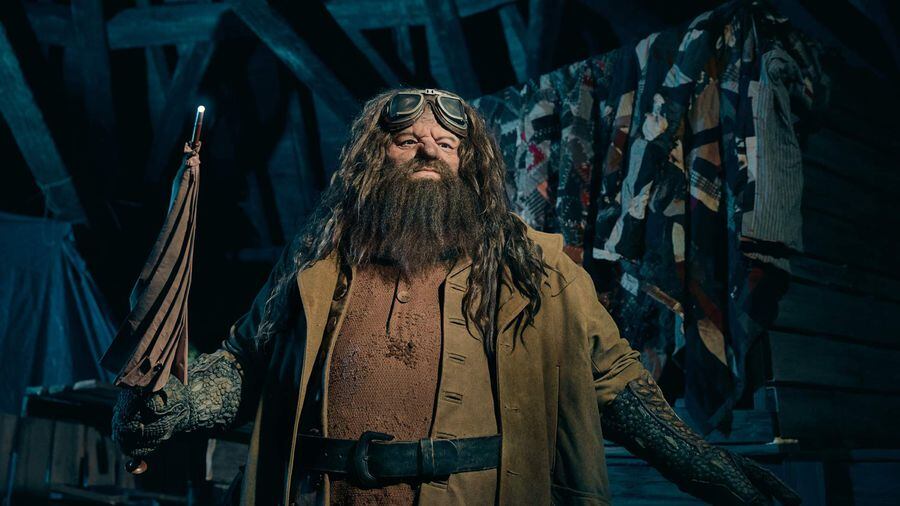 Hagrid's Character Development