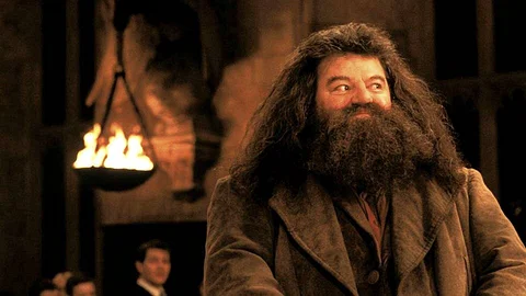 Hagrid's Fate In The Movies