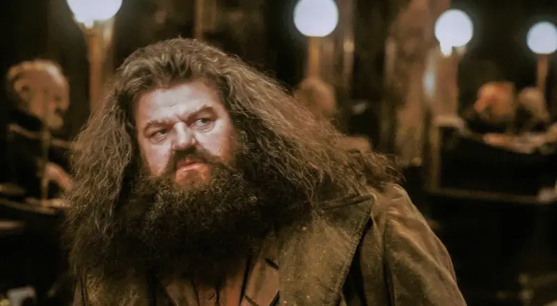 Hagrid's Role In The Harry Potter Series