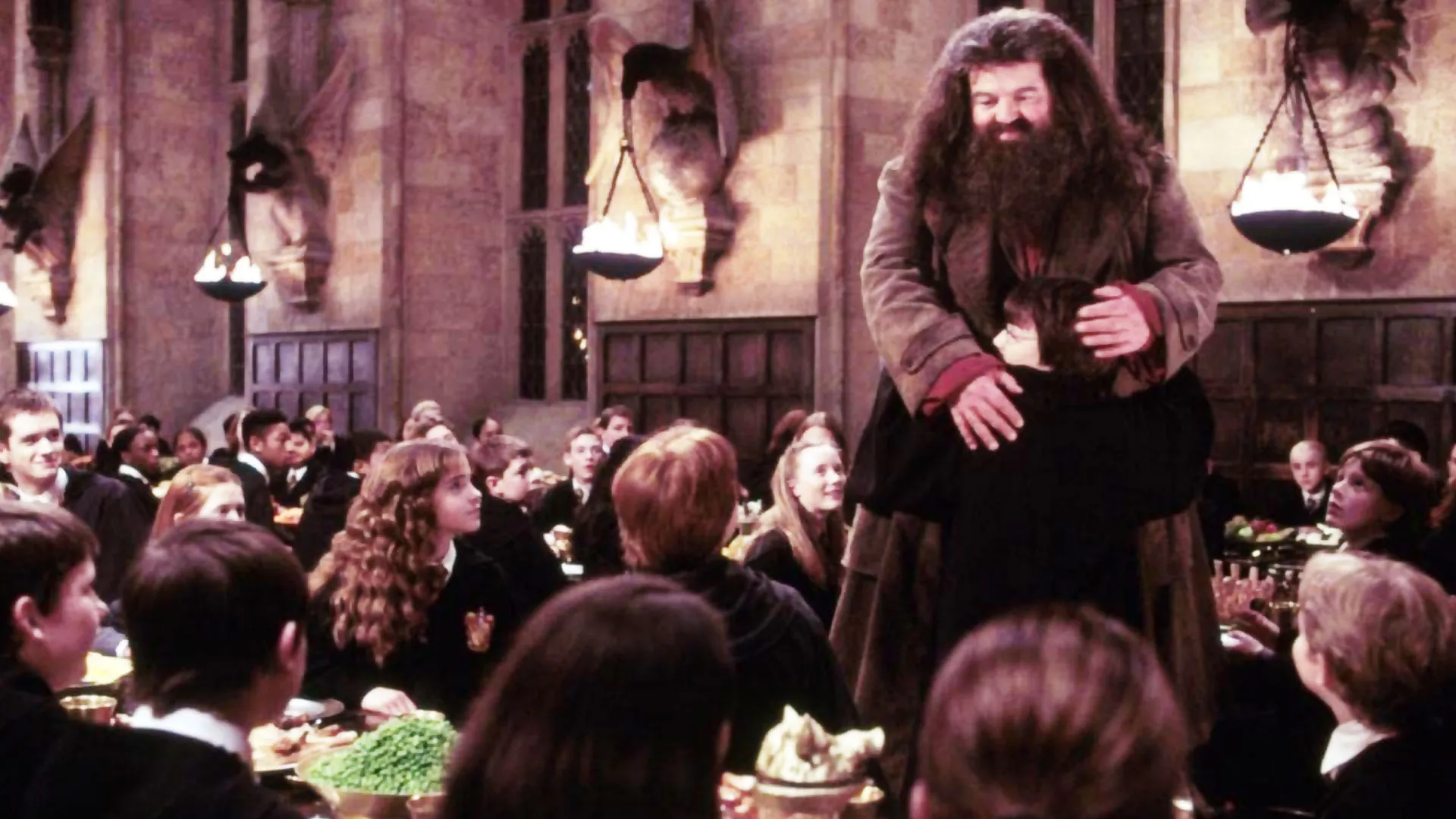 Hagrid's Significant Moments