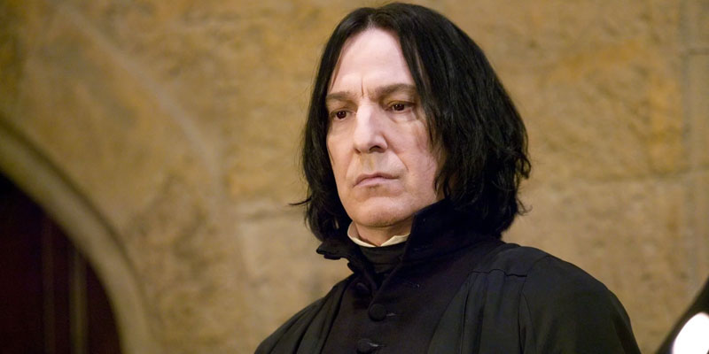 The Snape Theory A Controversial Perspective 2
