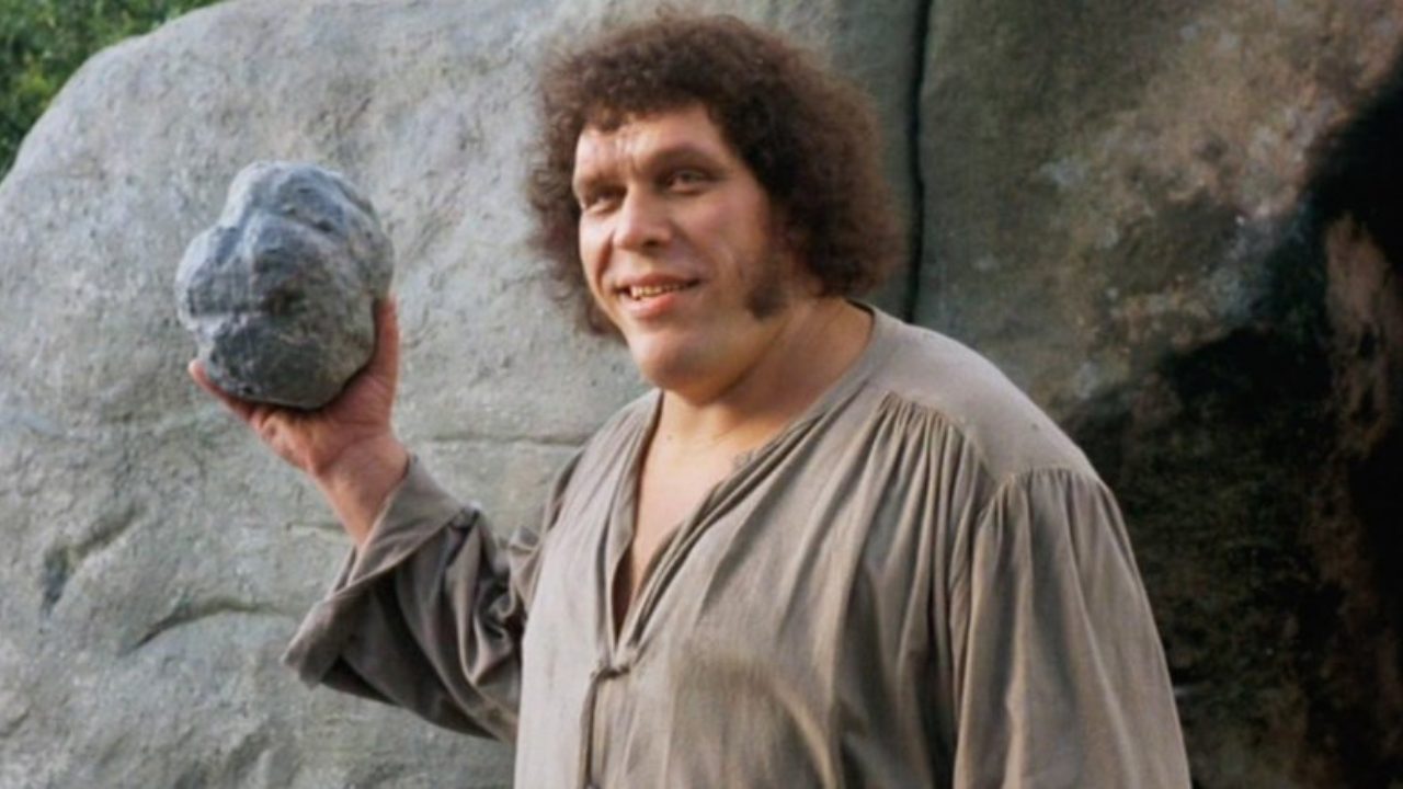 The Tragic Real Life Story Of Andre The Giant