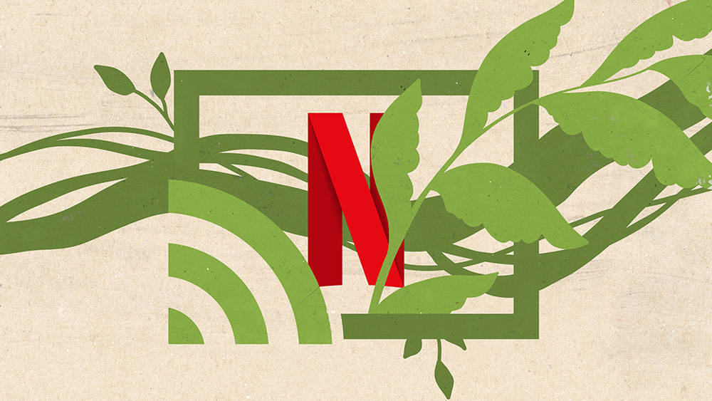 Netflix's Emphasis on Sustainability
