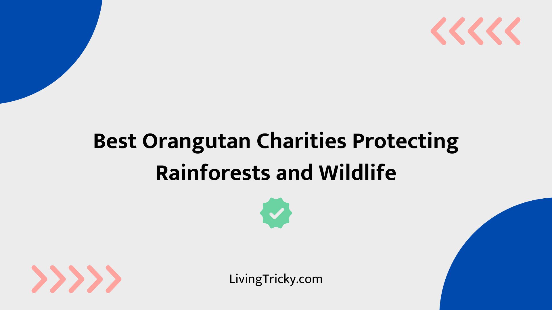 Best Orangutan Charities Protecting Rainforests And Wildlife