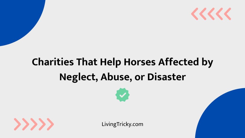 Charities That Help Horses Affected By Neglect, Abuse, Or Disaster