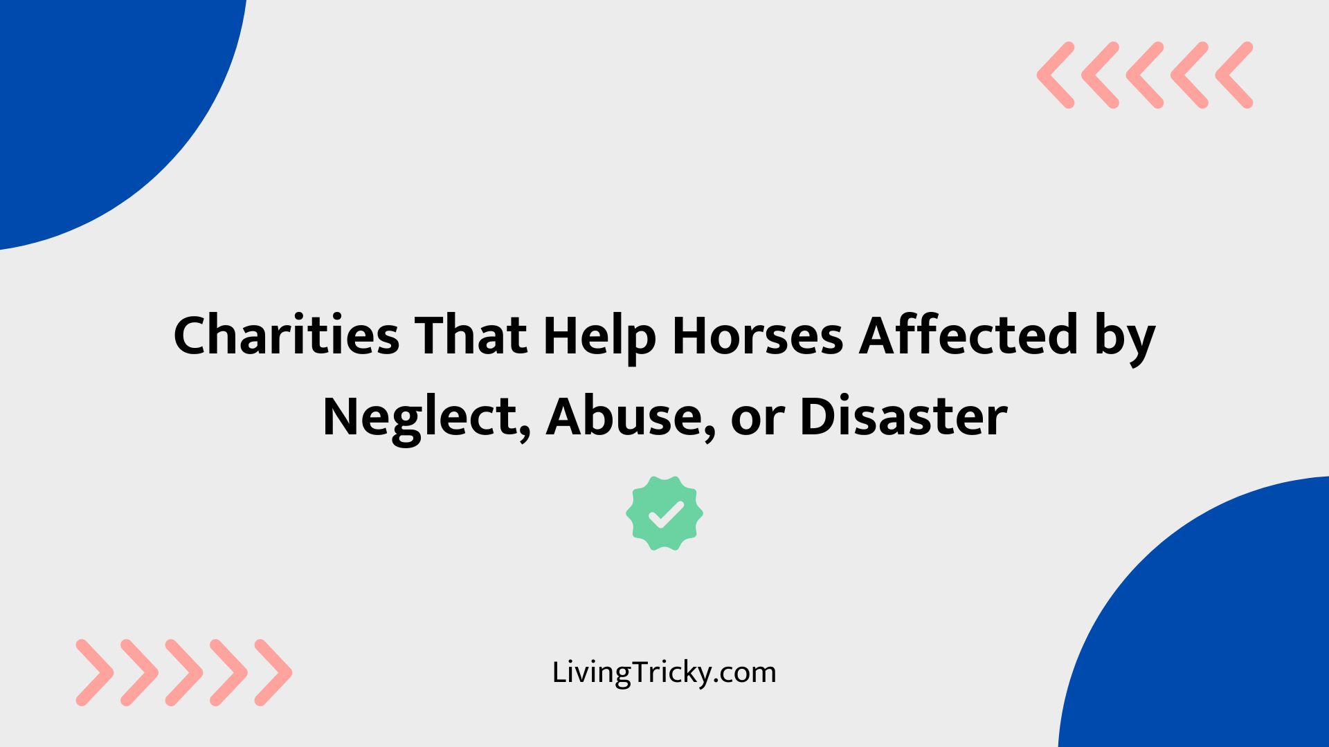 Charities That Help Horses Affected By Neglect, Abuse, Or Disaster