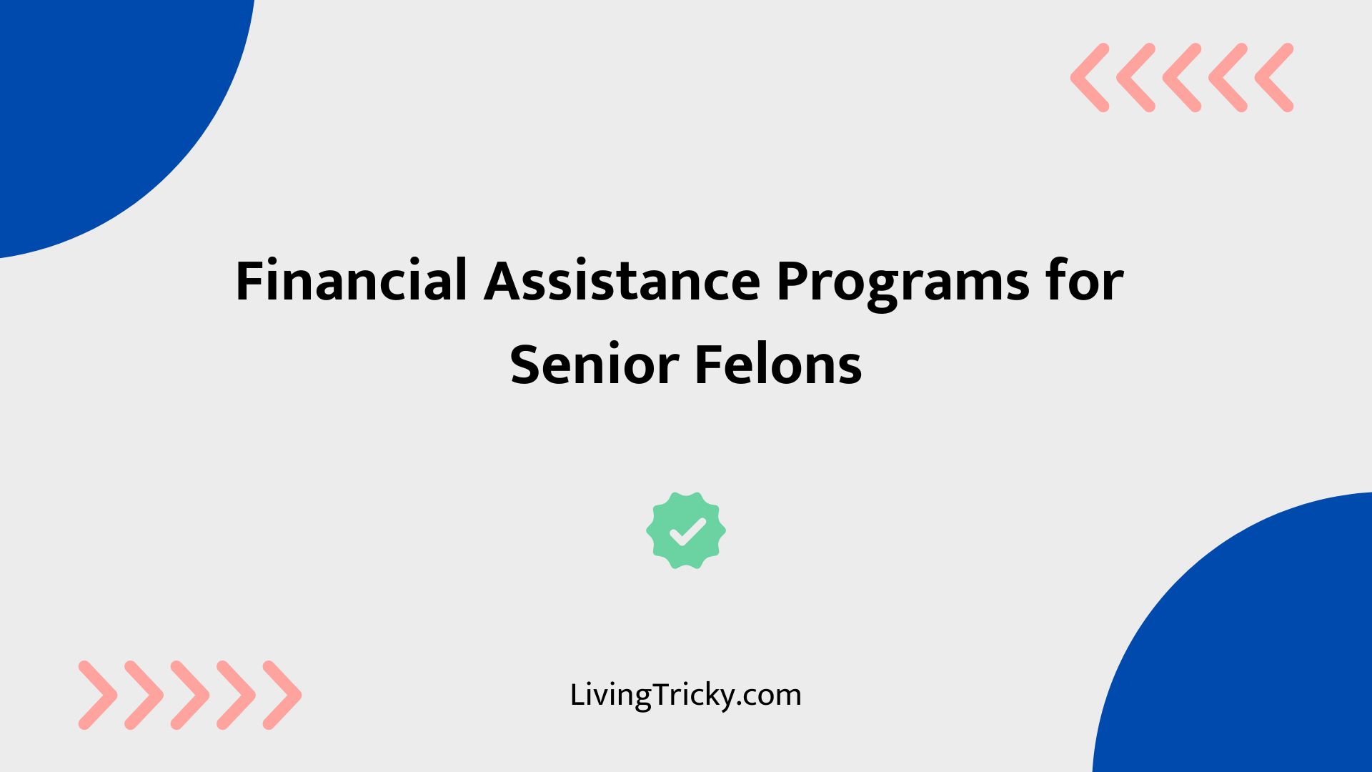 Financial Assistance Programs For Senior Felons