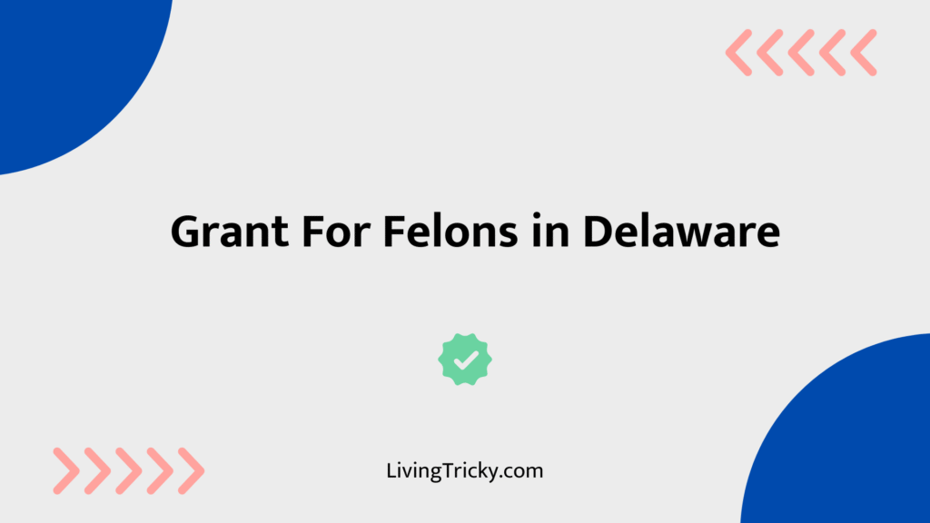 Grant For Felons In Delaware