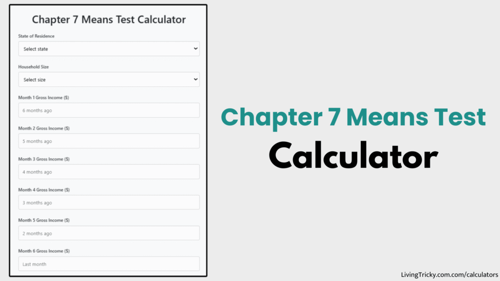 Chapter Means Test Calculator
