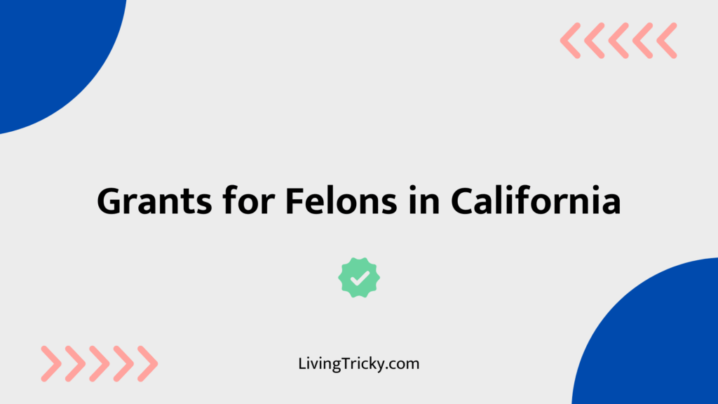 Grants For Felons In California