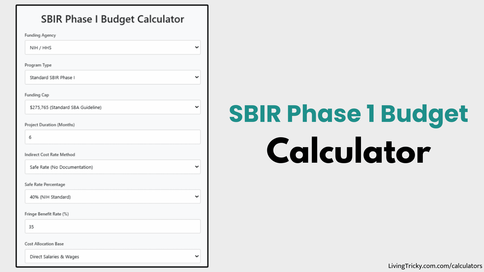 SBIR Phase 1 Budget Calculator – LivingTricky