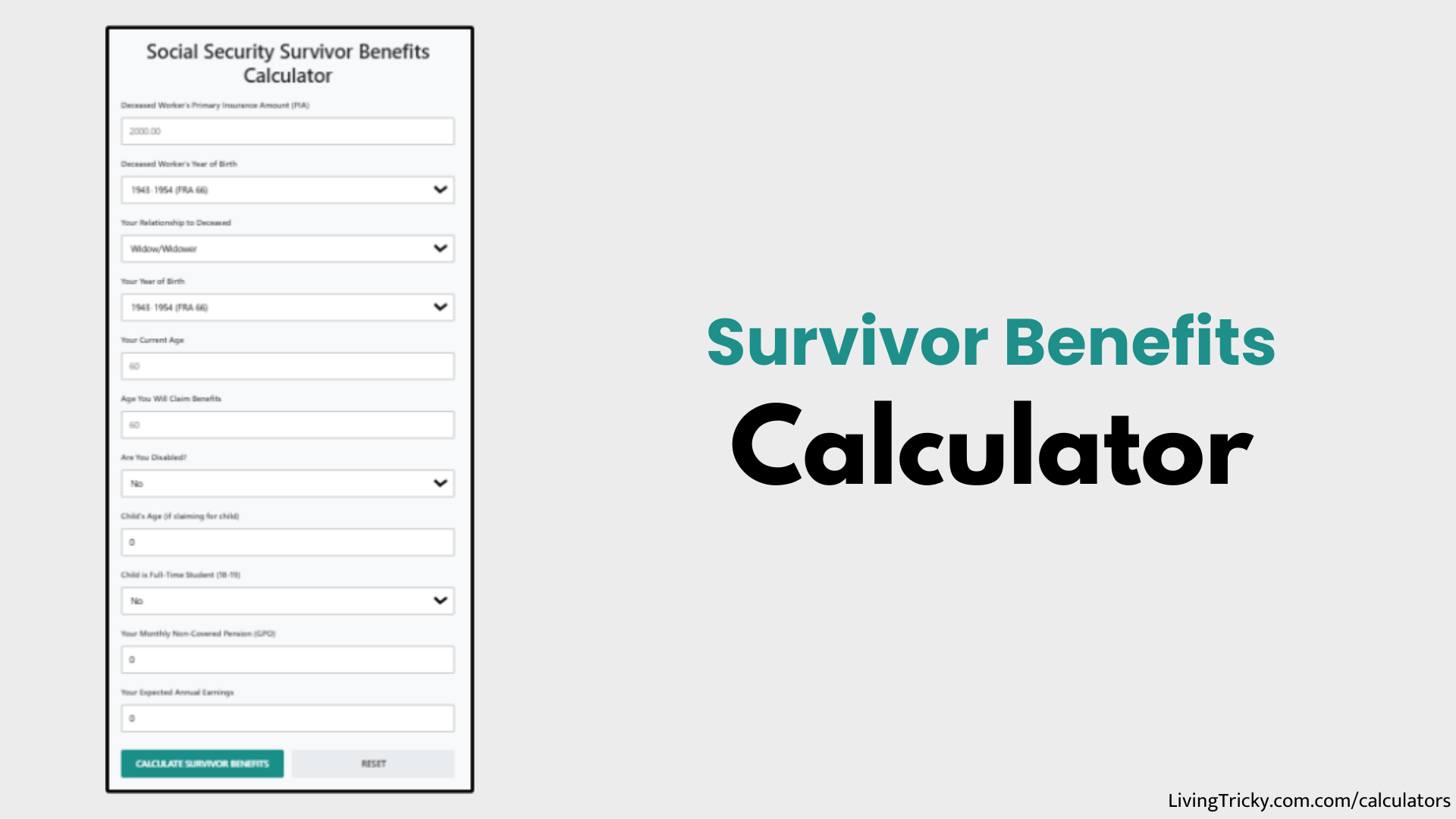 Survivor Benefits Calculator – LivingTricky